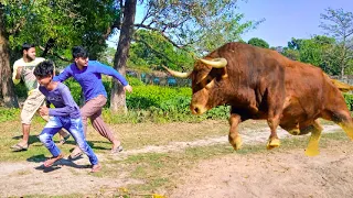 Village Boys Funny Comedy Video /Must Watch Funny Video 2020 /Episode 3 By Village Comedy TV/Funny