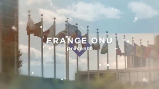 L'Ambassadeur de la France à l'ONU