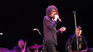 Peter Wolf & The Midnight Travelers " Going, Going Gone"  ( Bob Dylan cover)