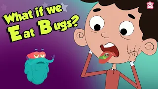 What If We Eat Bugs? | EATING BUGS | Dr Binocs Show | Peekaboo Kidz