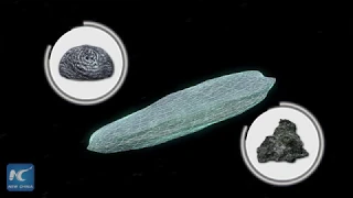 Astronomers identify cigar-shaped UFO