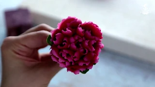 Peony with a lacy center and roundish petals bean paste