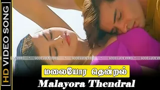 Malayora Thendral Song | Delhi Darbar Movie | Mammootty, Vikram, Simran Hits | Old Super Hits | HD