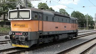 Zugverkehr in Lovosice / CZ am 10.05.2024 - Elefanten, Brillen & Co.