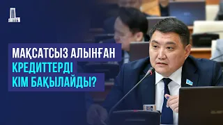 Мақсатсыз алынған кредиттерді кім бақылайды?