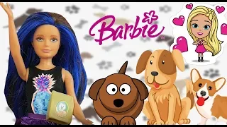 Rodzinka Barbie 💗 Zabawa z pieskami 🐶 bajka po polsku