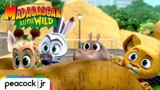 MADAGASCAR A LITTLE WILD | Season 4 Trailer