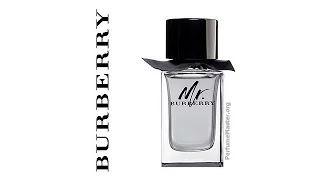 Burberry - Mr Burberry Fragrance