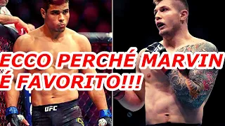 MARVIN VETTORI batterá PAULO COSTA? il mio pronostico!