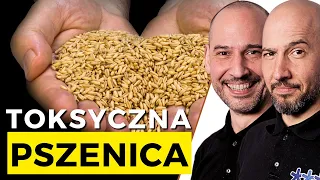 Pszenica gorsza niż cukier?