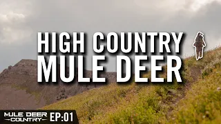 Big High Country Mule Deer Archery Hunt