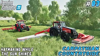 After sowing field treatment, hay harvesting | Carpathian Countryside Farm | FS 22 | Timelapse #03