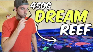 A 450 Gallon High-End Coral Reef Tank That Takes Up An Entire Room!