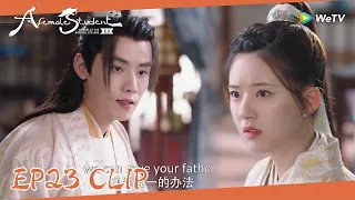 EP23 Clip | Father Sang was arrested, Wenyuan forced Qi to marry him!| 国子监来了个女弟子| ENG SUB