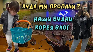 Куда мы пропали?Детская комната Юрин.Закуп продуктов.Корея влог.