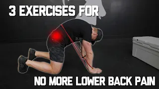 Do These 3 Lower Back Exercises Every Day. (NO MORE PAIN)