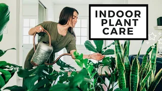 How To Care For Indoor Plants | Best House Plants