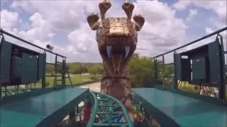 The Mom Maven rides Cobra's Curse at Busch Gardens