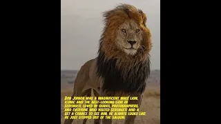 A Story of Bob Junior in 55 Seconds | Serengeti's Iconic