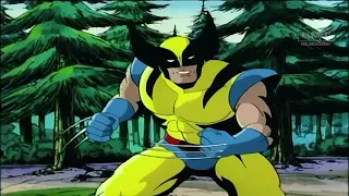 Wolverine - All Powers from X-Men The Animated Series