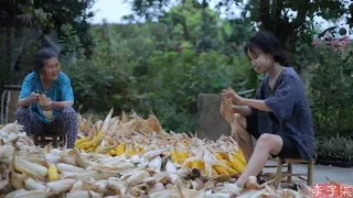 金黄的季节，载满了收获的喜悦和玉米的香甜Golden season, full of preasure of harvest and sweet corn | Liziqi Channel