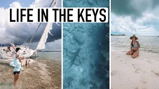 Sailboats, sandbars, & swimming with sharks | FLORIDA KEYS