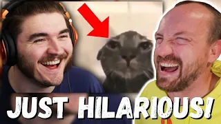 SCHLATT IS HILARIOUS! Schlatt Ranking Your RIDICULOUS Tiktoks (REACTION!)