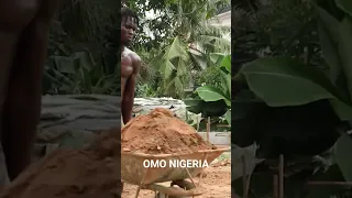 Omo Nigeria Eku Iroju
