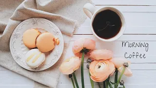 Morning Coffee ☕ Songs to Start Your Day ~ Good vibes only