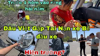 #392🇨🇳Hiện Trường Dâu Việt gặp Tai Nạn xe Ở Trung Quốc,Họ sử lí như thế nào?hái được rất nhiều Nấm