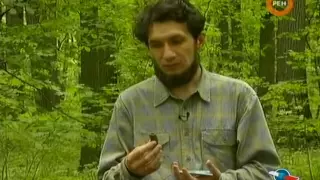 Палеоартефакты, найденные Космопоиском (1998)