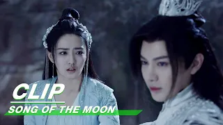 Luo Ge Finds Liu Shao | Song of the Moon EP29 | 月歌行 | iQIYI