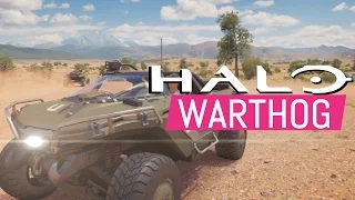 Halo Warthog In Forza Horizon 3 | Gameplay