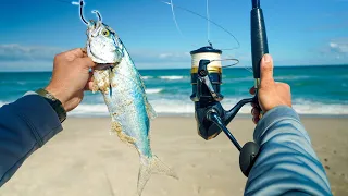 Casting BIG BAITS from Beach (We weren’t prepared)