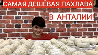 САМАЯ ДЕШЁВАЯ ПАХЛАВА В АНТАЛИИ