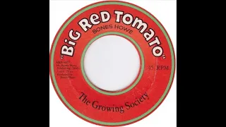 The Growing Society • The Big Red Tomato • 1967 (Instrumental)