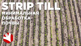 Технология strip-till | Минимальная обработка почвы | Технологии растениеводства