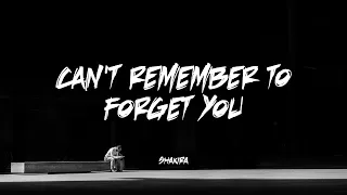 Can't remember to forget you - Shakira | Lyrics [sped up version]