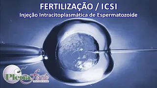 Fertilização in vitro pela ICSI