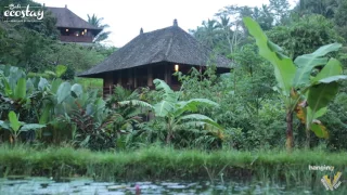 Little Padi Bungalow - Bali Eco Stay