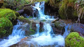 4K HDR Spectacular waterfall flowing in mountain forest.  The relaxing sound of waterfall flowing.