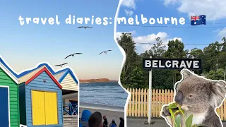 melbourne vlog 🇦🇺 | kangaroo feeding, penguin parade island, bathing boxes and more!