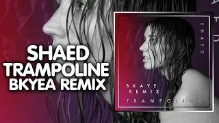 Future Bass ● SHAED - Trampoline (BKAYE Remix) |  Photo Finish Records