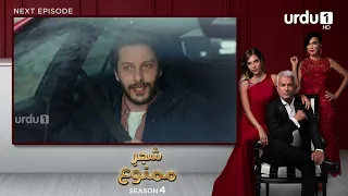 Shajar-e-Mamnu | Episode 357 Teaser | Turkish Drama | Forbidden Fruit | Urdu Dubbing | 21 April 2022