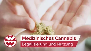 Cannabis: Von der Legalisierung zur medizinischen Anwendung - Life Goes On | Welt der Wunder