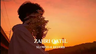 ZAHRI QATIL | SLOWED AND REVERB | SHAKIR BABA |  UMAR HAMID | NEW KASHMIRI SONG