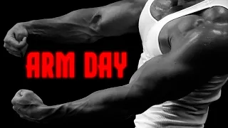 Why You Should Have an Arm Day!