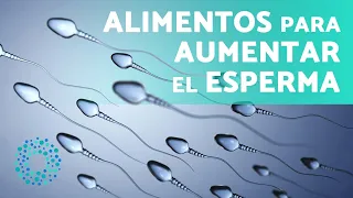 6 ALIMENTOS para AUMENTAR el ESPERMA 🔫 (¿Qué Comer para Aumentar el Esperma?)