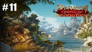 The Fish Thief!   Divinity Original Sin Enhanced Edition #11