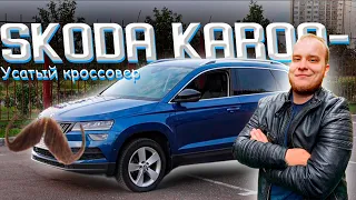 Skoda Karoq - Tiguan на минималках?